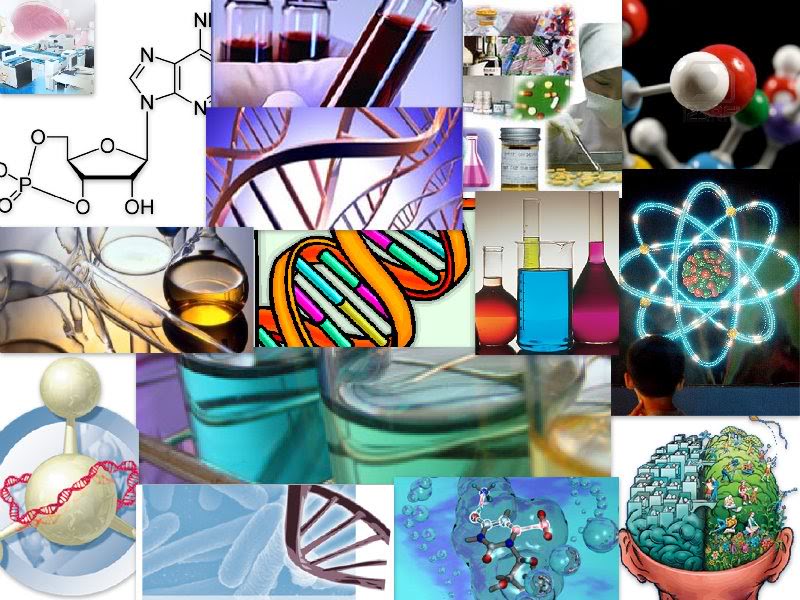 Química Biológica